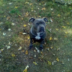 Meet your Posher, Carlos